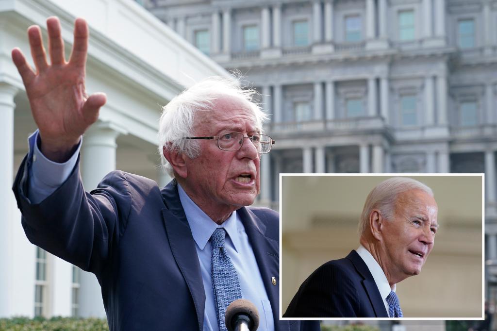 Sen. Bernie Sanders downplays fellow octogenarian Biden’s age: âSeemed fine to meâ